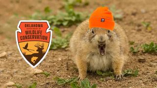 A photo of a Prairie Dog wearing an orange beanie next to the logo for the Oklahoma Department of Wildlife Conservation