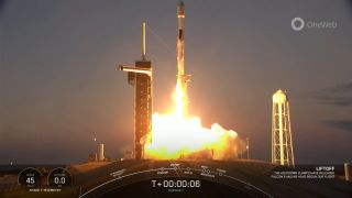 A SpaceX Falcon 9 rocket carrying 40 OneWeb internet satellites lifts off from NASA's Pad 29A at the Kennedy Space Center in Cape Canaveral, Florida on Dec. 8, 2022.