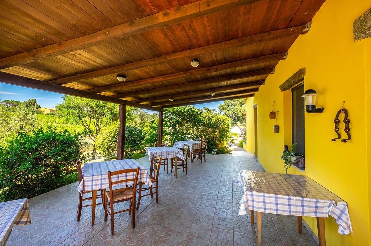 Sardinia wine property