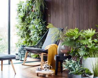 rich green houseplants and an armchair