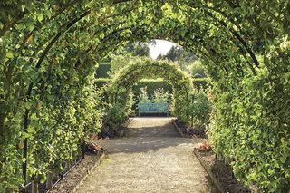 floral arches