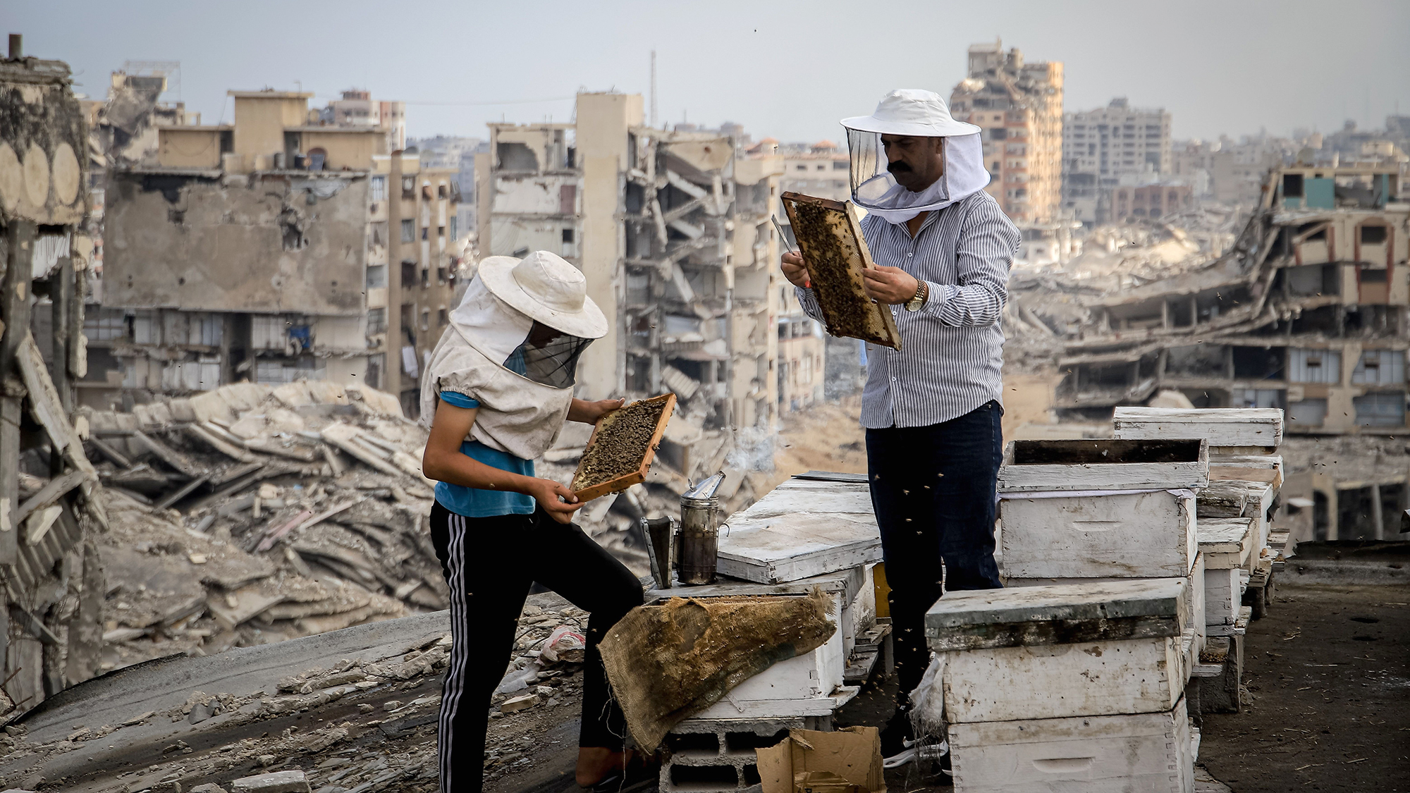 Members of the Gaza Beekeepers' Cooperative Society attend to their beehives on the roof of a damaged building in the Tel al-Hawa neighborhood of Gaza City, Palestine