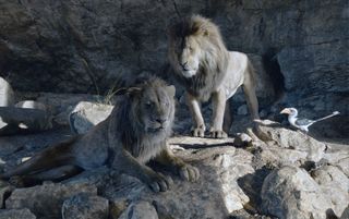 Mufasa and Scar in the 2019 live-action adaptation of The Lion King