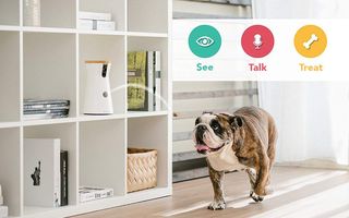 Furbo pet camera