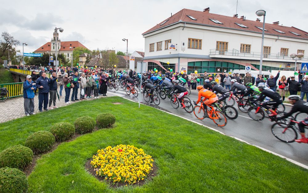 The peloton in action during stage 1 at the Tour of Croatia