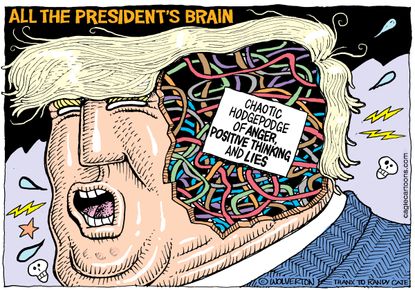 Political cartoon U.S. Trump brain alternative facts lies