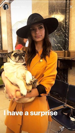Emily Ratajkowski in a mustard Zara suit on her wedding day, holding a fawn pug