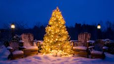 Outdoor christmas lighting in a tree 