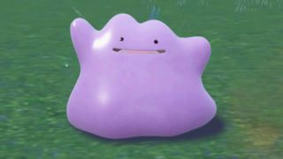 Pokemon Scarlet and violet Ditto