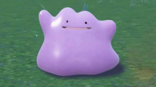 In pokemon Scarlet and Violet[yes, i know there are bugs and other issues]  If you lock onto pokemon where ditto spawn, you can see which ones are ditto  in disguise. - 9GAG