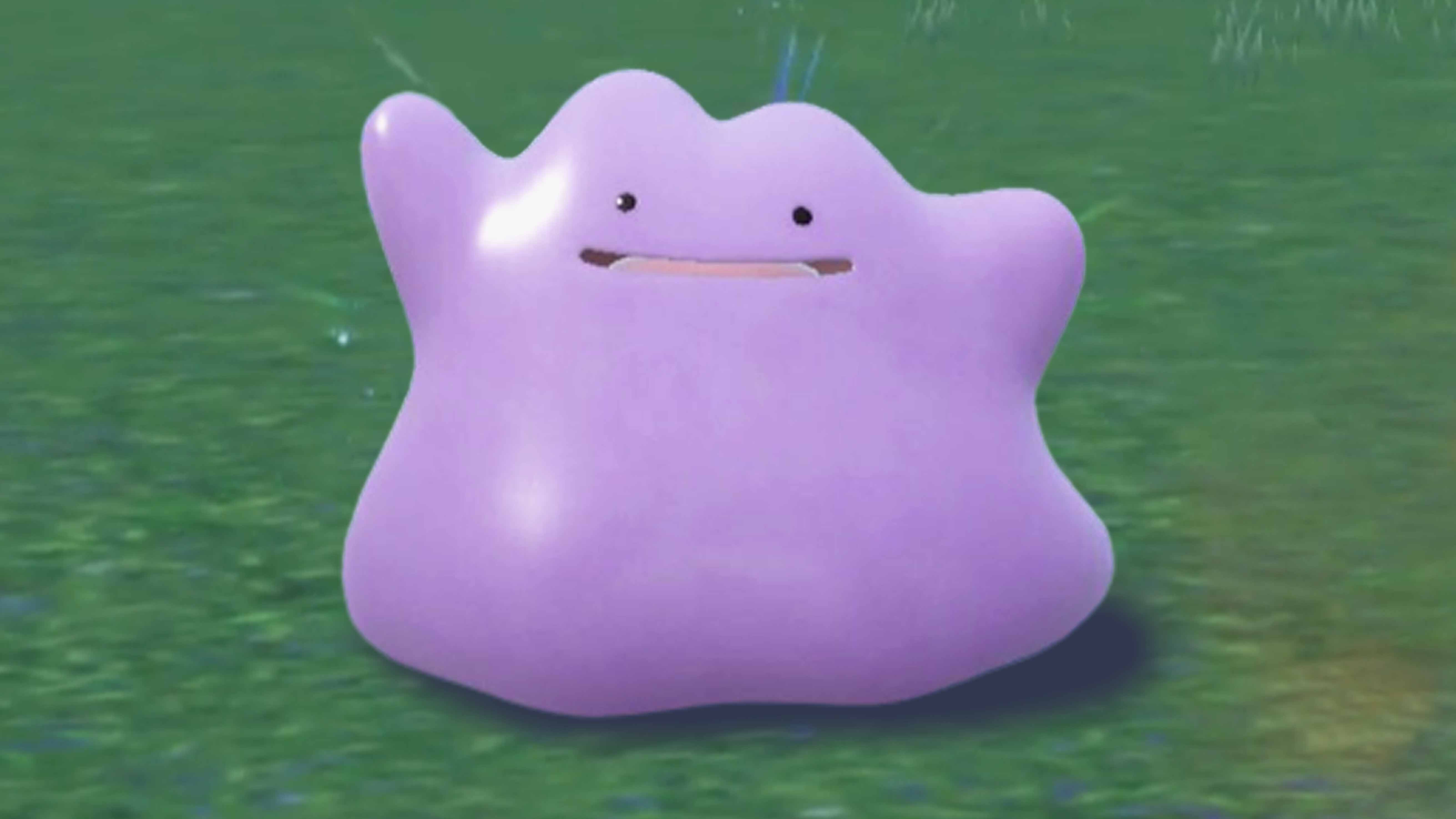 Ditto - Pokemon Scarlet and Violet Guide - IGN