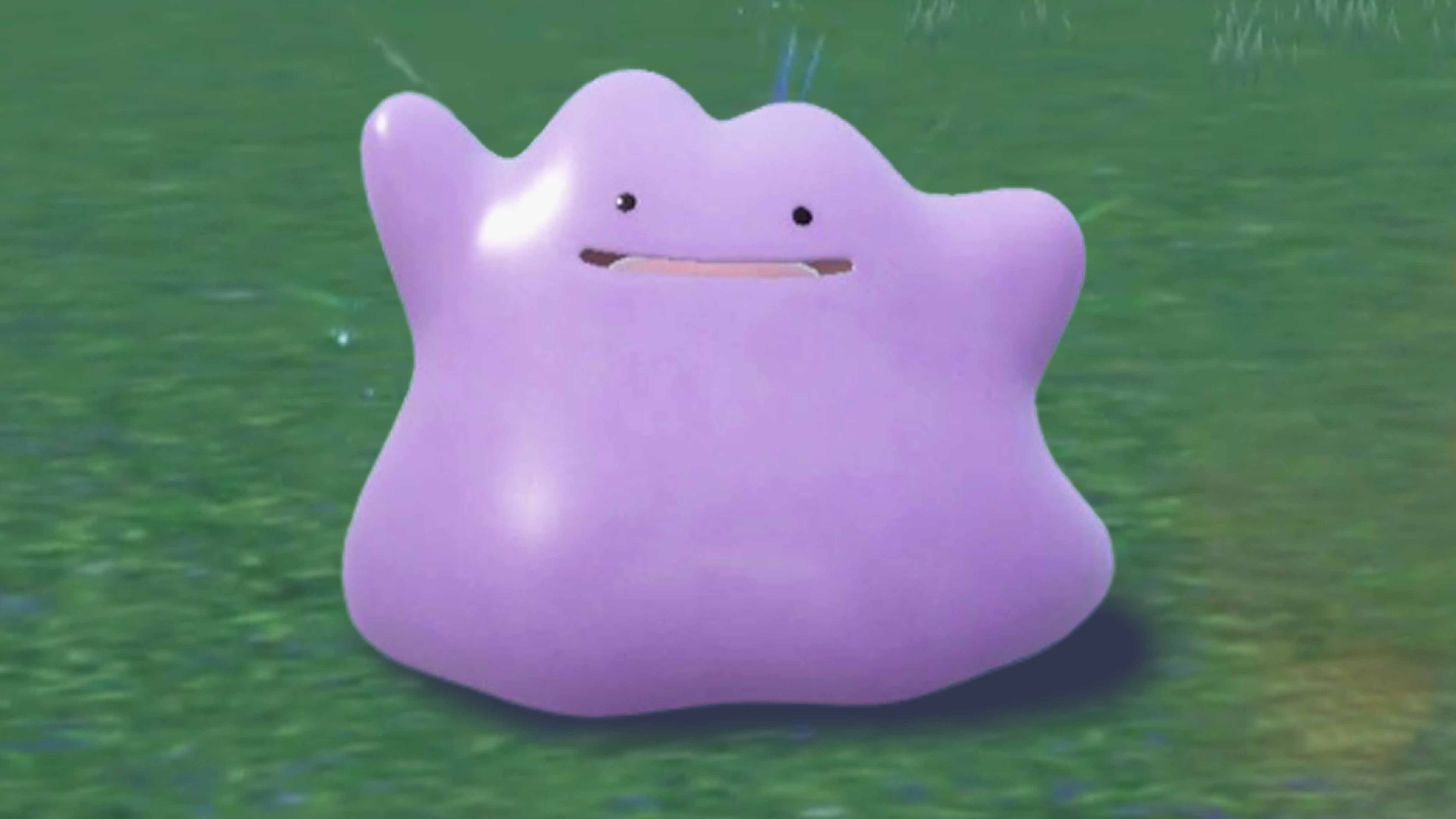 Ditto - What Pokémon does it transform into? - GO Hub Forum