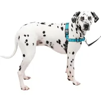 Petsafe Easy Walk No Pull Harness | Up to 21% off at AmazonWas £23.99Now £18.89 Petsafe Easy Walk No Pull Harness | Up to 21% off at AmazonWas £23.99Now £18.89