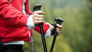 A hiker in a red jacket uses hiking poles