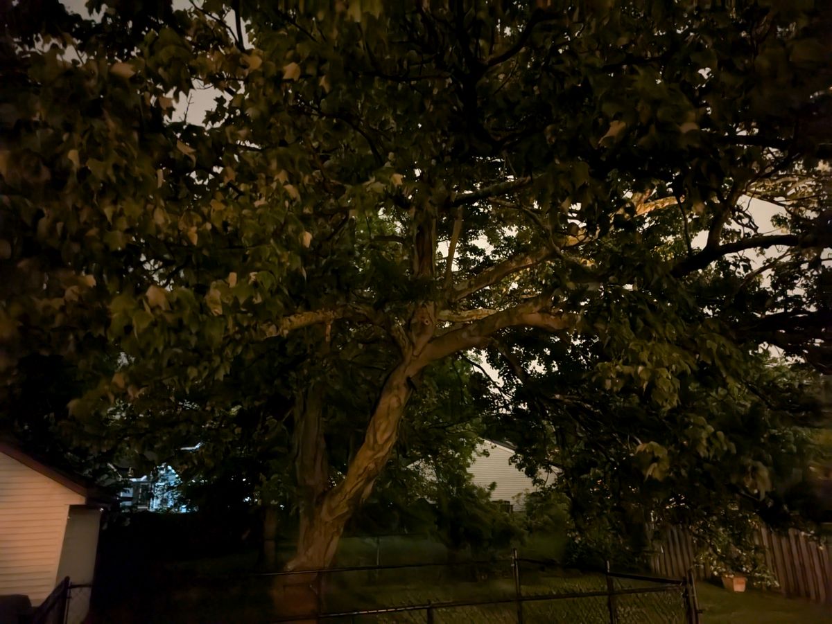 Google Pixel 8a low light sample.