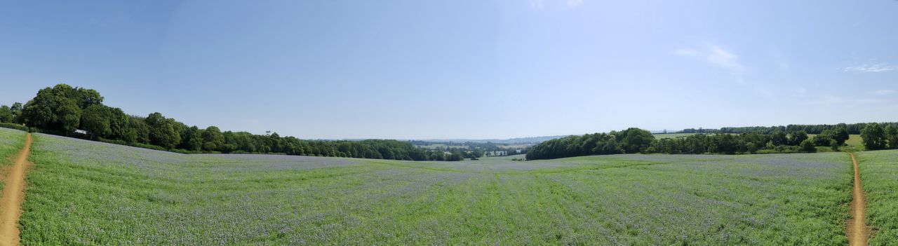 Potensic Atom 3 drone test