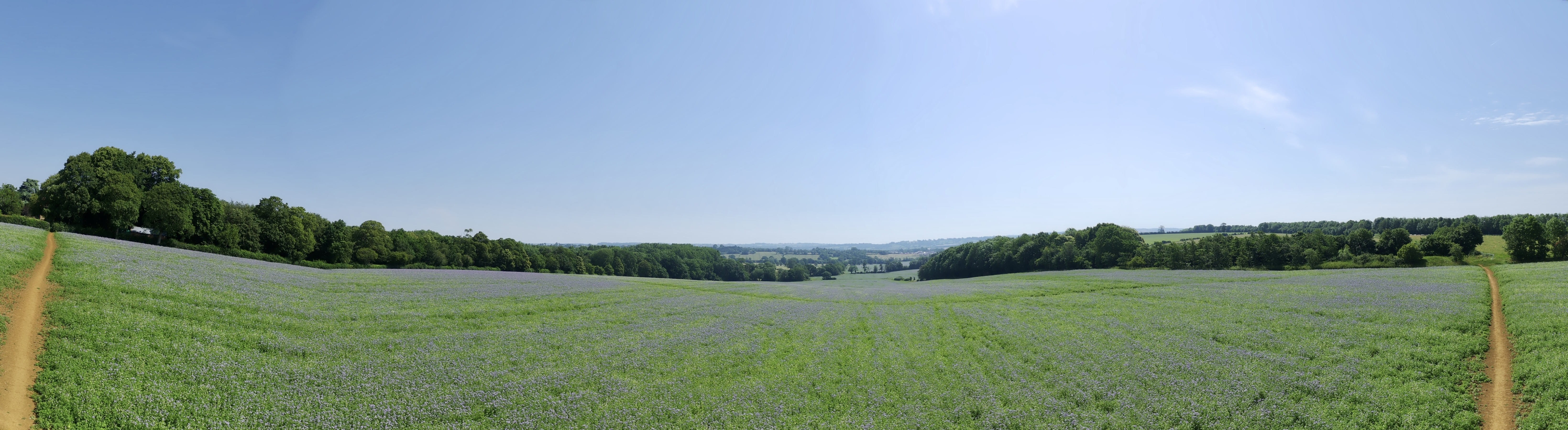 Potensic Atom 3 drone test