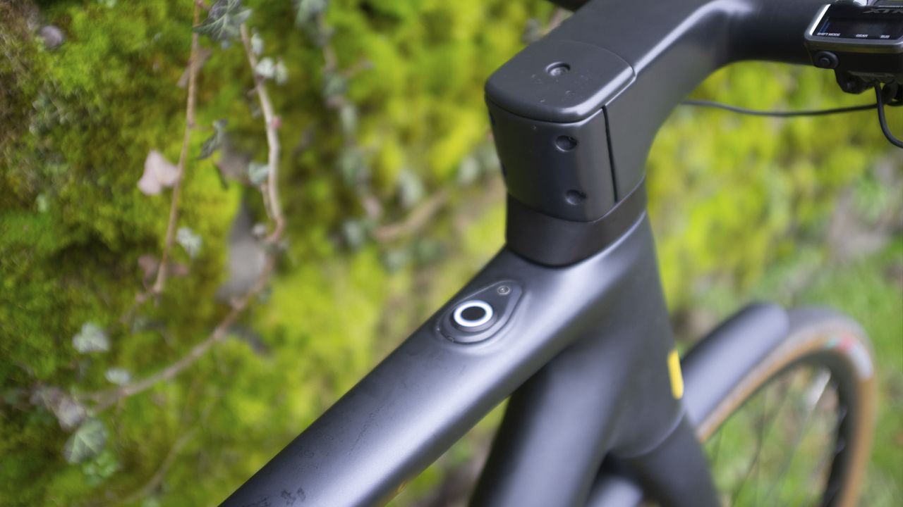 LeMond Prolog review