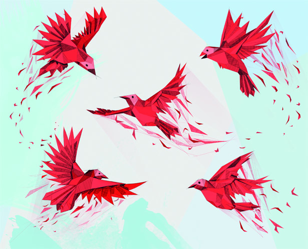 Vasava Birds