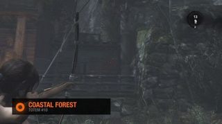 Tomb Raider Coastal Forest Totem #10
