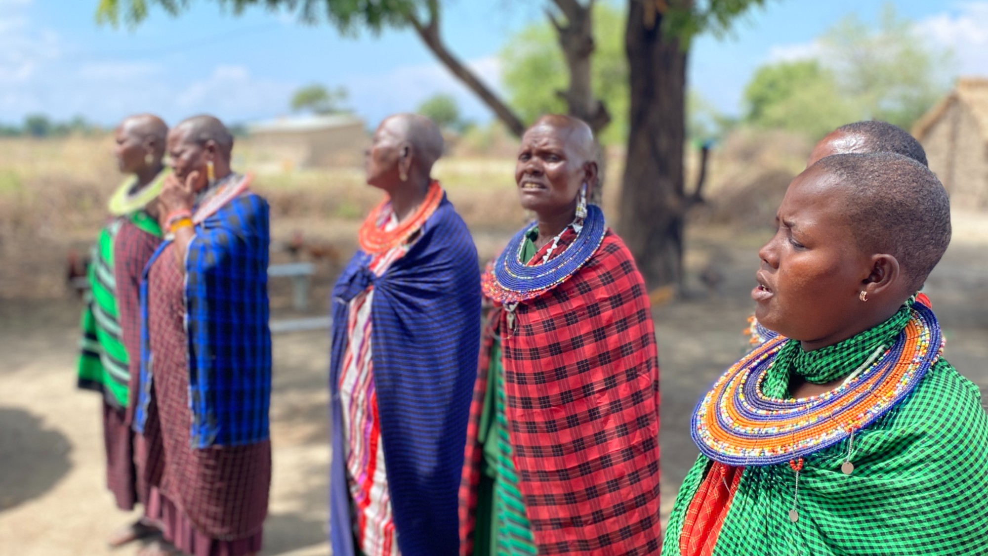 Close-up of five maasai women in front of trees