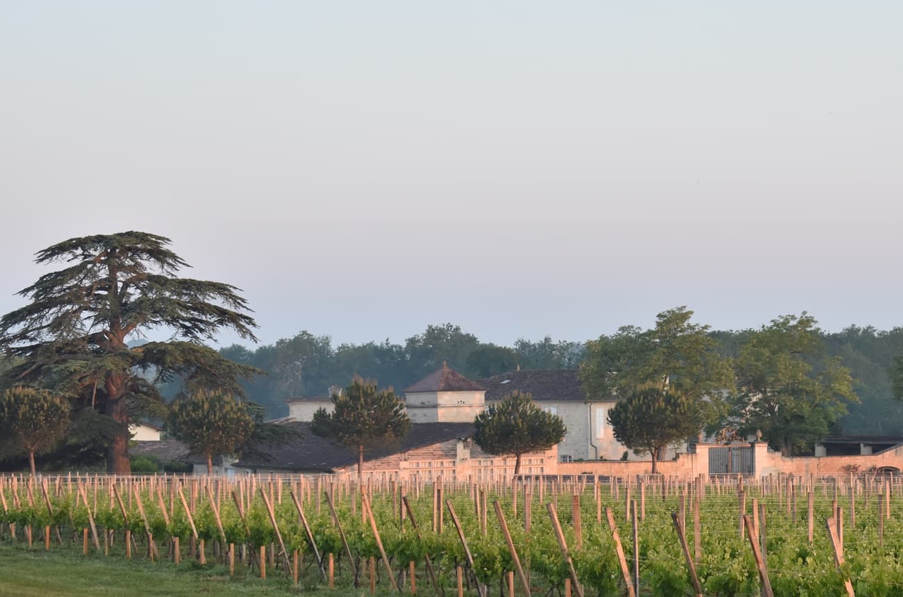 Ch&acirc;teau de Sours neighbour