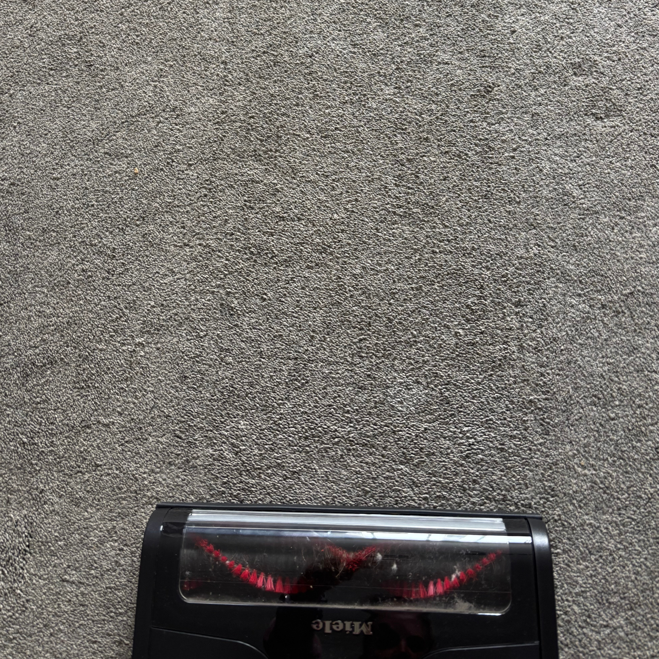 Miele Triflex HX3 Aqua review