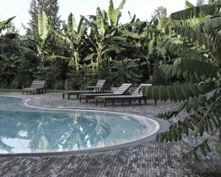 A curve pool surrounded by banana plants in a hotel in rwanda