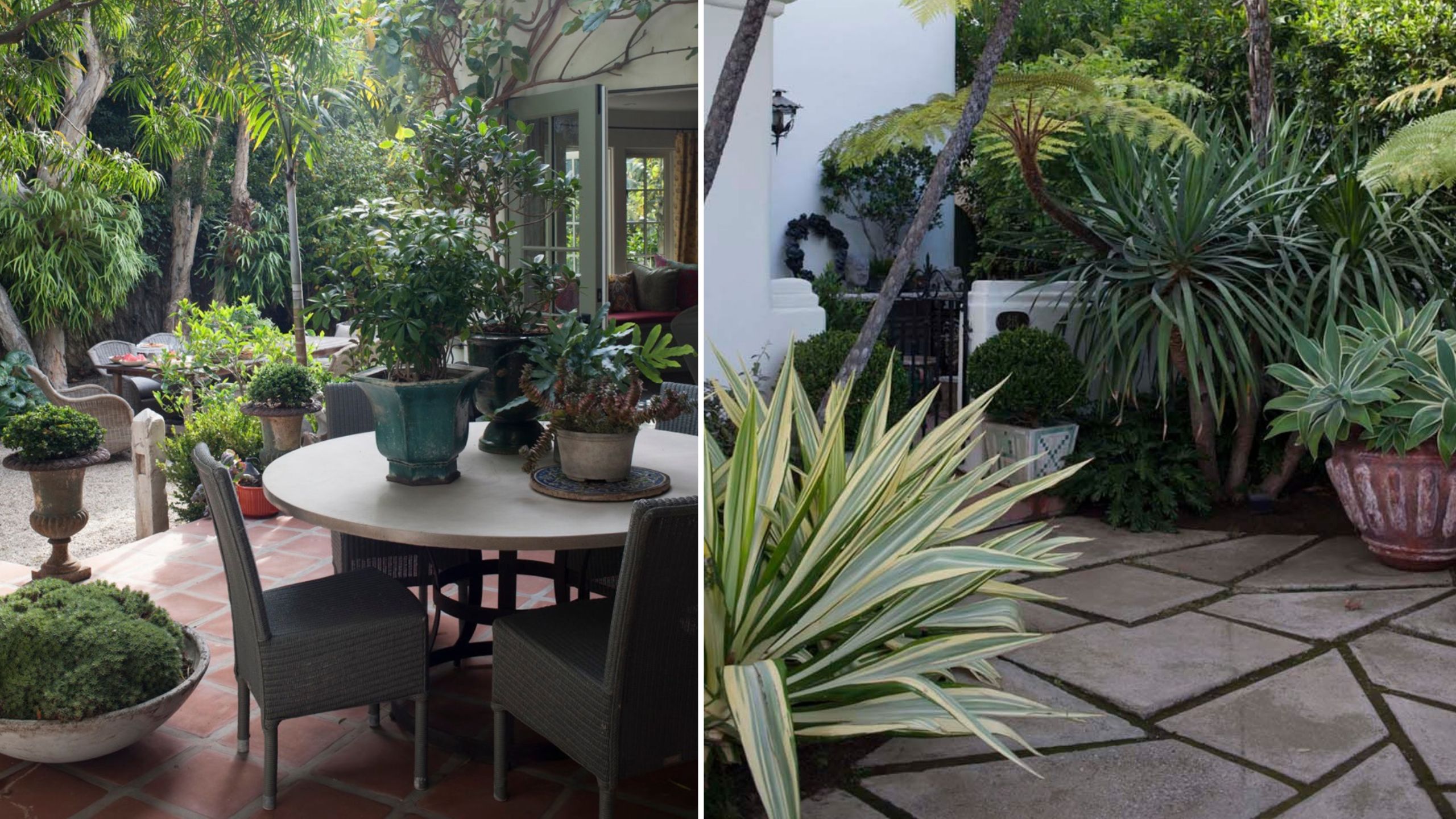 Stephen Block's garden