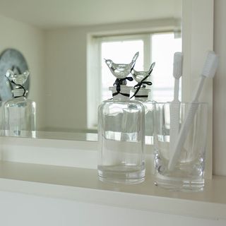 Bathroom mirror and toothbrush holder