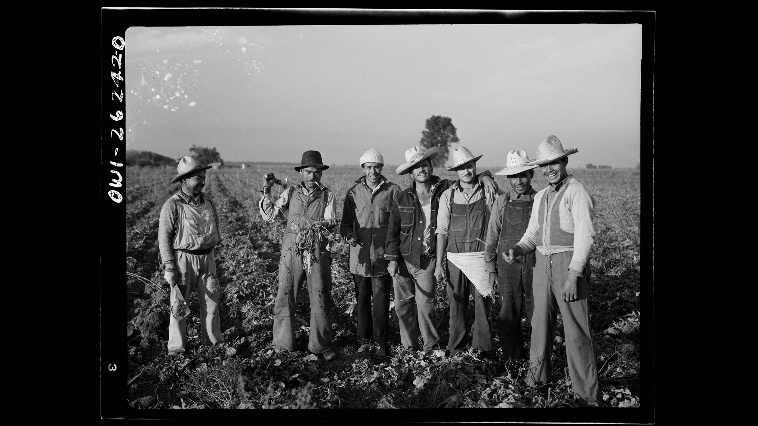 Seven men in hats and work clothes stand smiling together in a field, one holding up harvested beets.