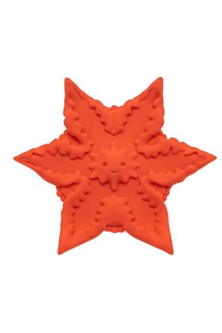 starfish shaped sex toy