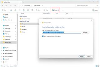 File Explorer extract archival formats