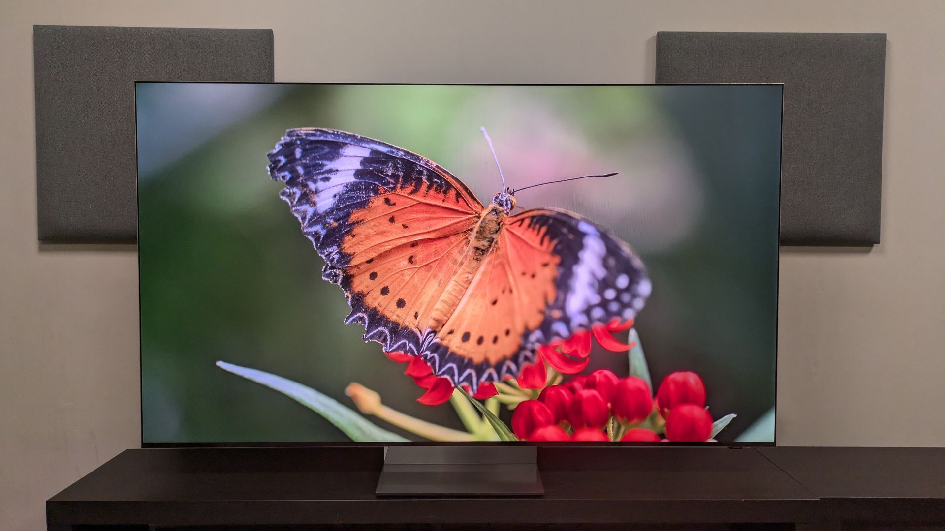 Samsung R95H with shot of orange butterfly on screen