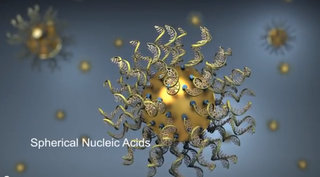spherical nucleic acid explanation