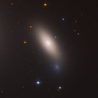This Hubble Space Telescope image shows the galaxy NGC 1277, which is unique in that it is considered a relic of what galaxies were like in the early universe. NGC 1277 is composed exclusively of aging stars that were born 10 billion years ago.