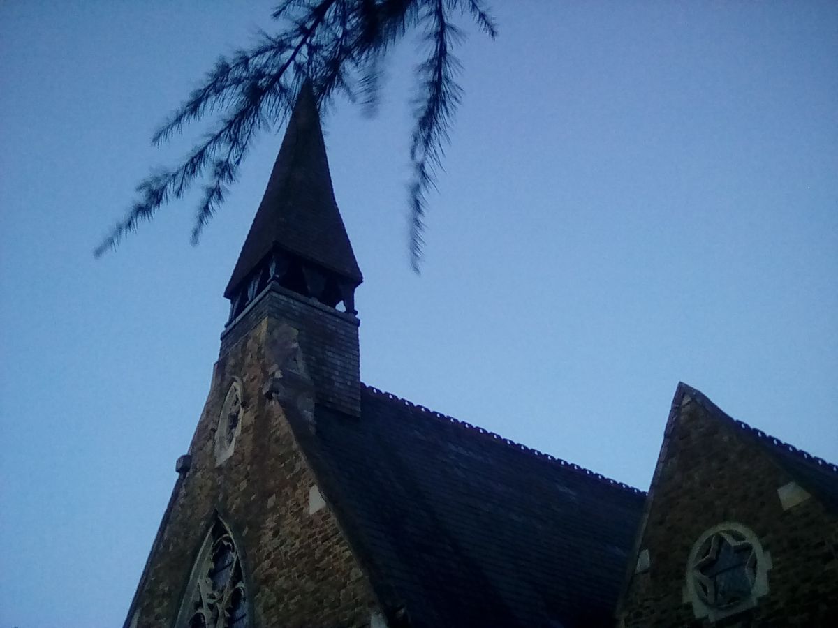 The Fire HD 8's photos look a bit like those from other cameras using max digital zoom.