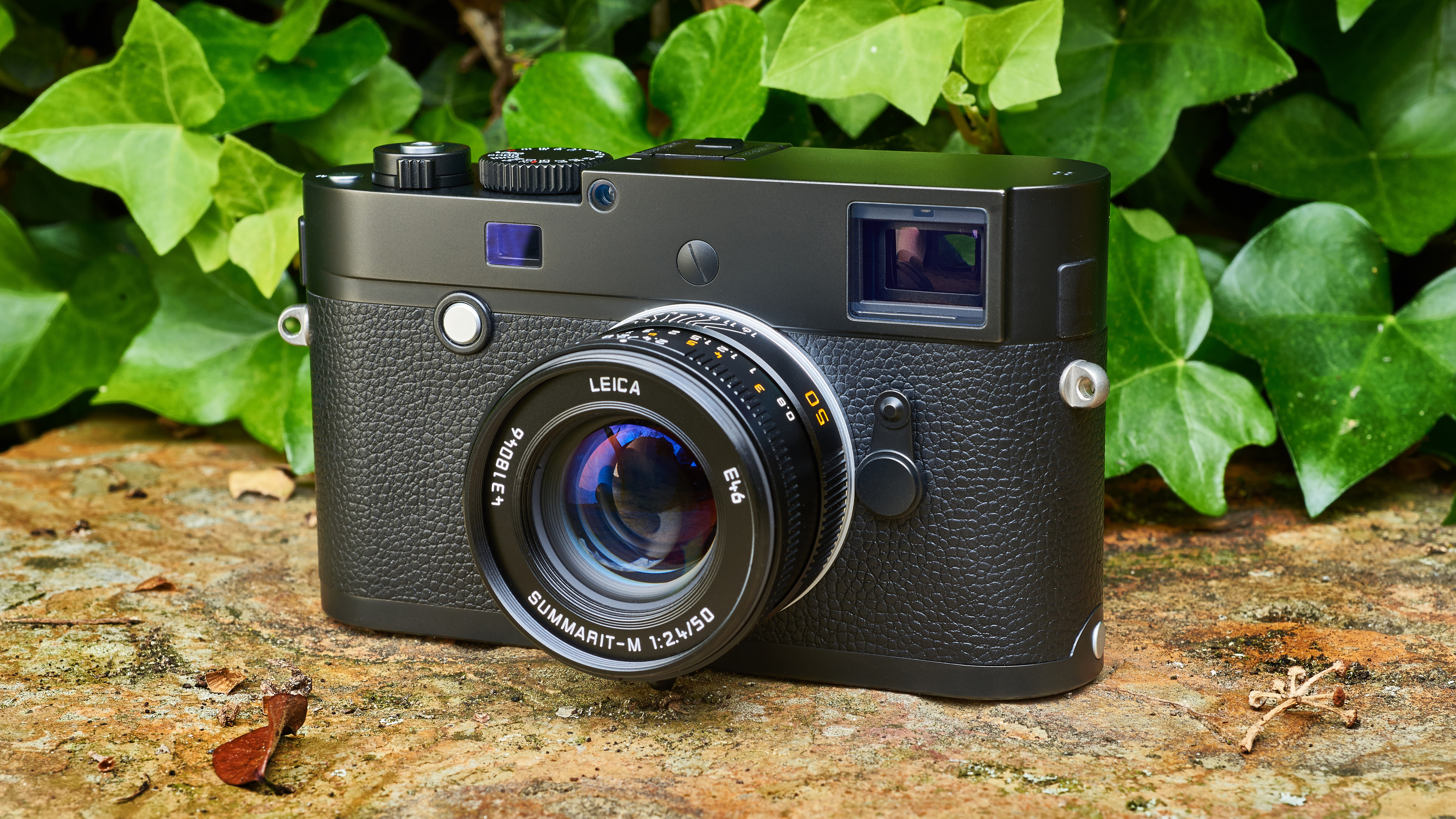 Leica M Monochrom (Typ 246) review | TechRadar