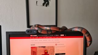 pets of pc gamer