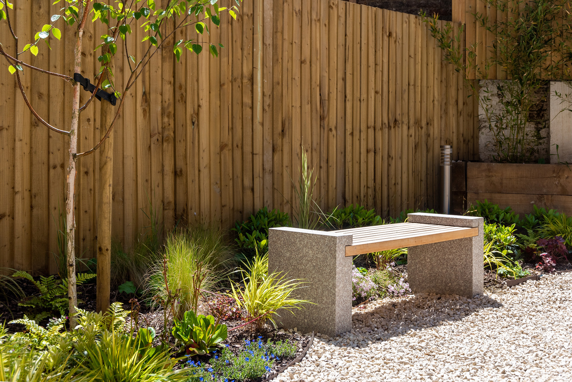 A garden bench with plants and birch tree on a nice sunny day