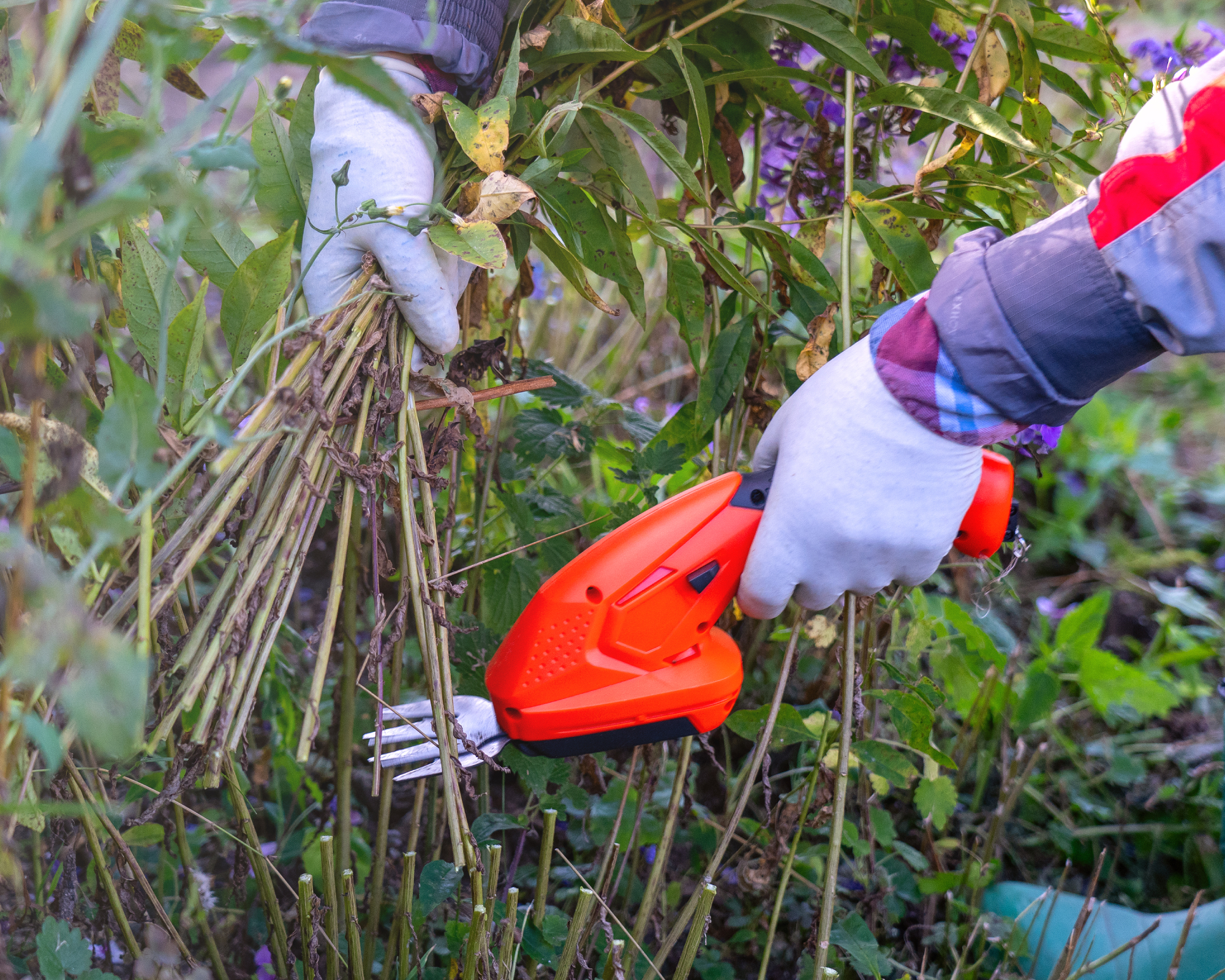 Bush trimmer handheld electric close-up, Gardener's work tool
