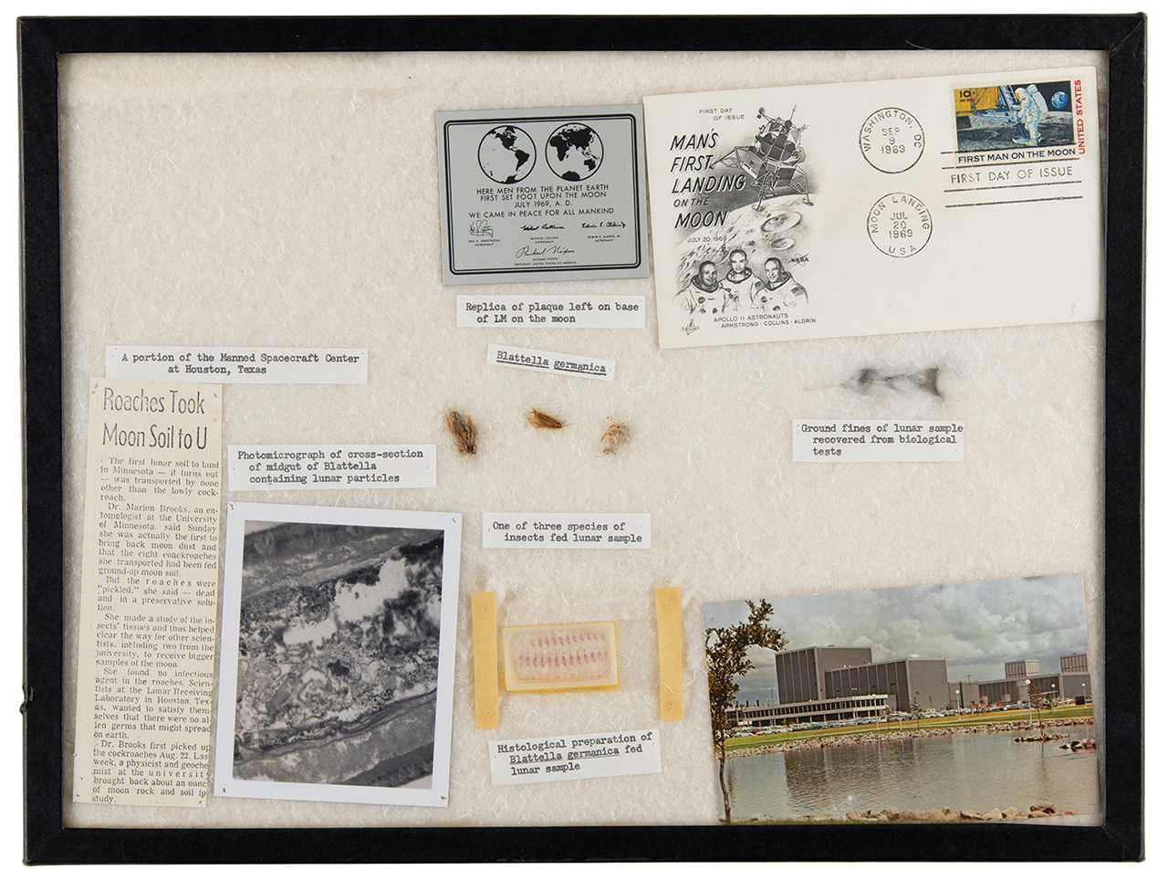 Entomologist Marion Brooks' specimen-mount display of her Apollo 11 lunar mementos, including three preserved cockroaches and a sample of the Apollo 11 moon dust removed from within them.