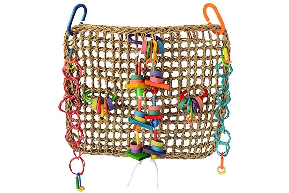 Best toys for parrots Keep your feathered friend flapping PetsRadar