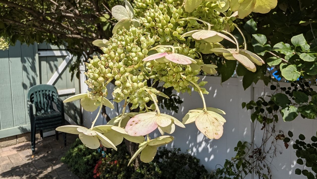 Google Pixel 11 Pro Fold REVIEW Photo Samples