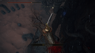 How to find Redmane Painting location in Elden Ring