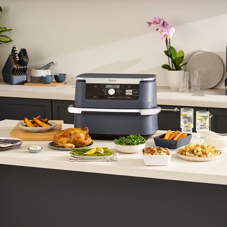 Ninja air fryer with food