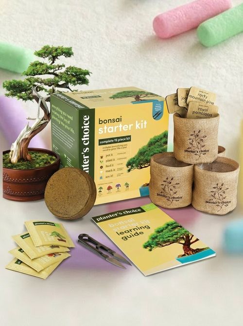 Bonsai Starter Kit