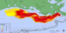 Gulf of Mexico dead zone