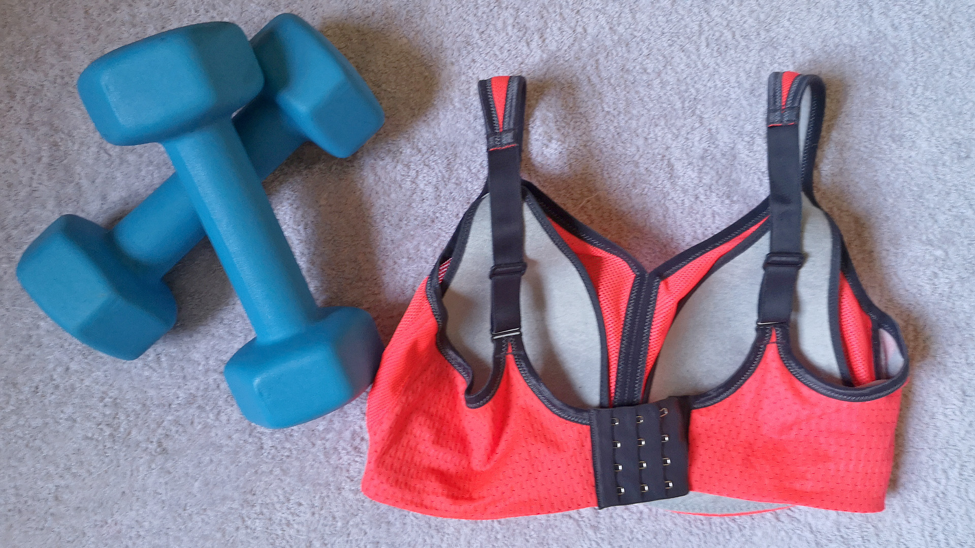 Best sports bra
