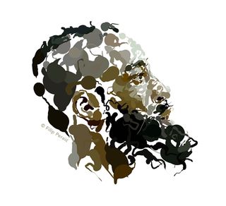 James Harden illustration